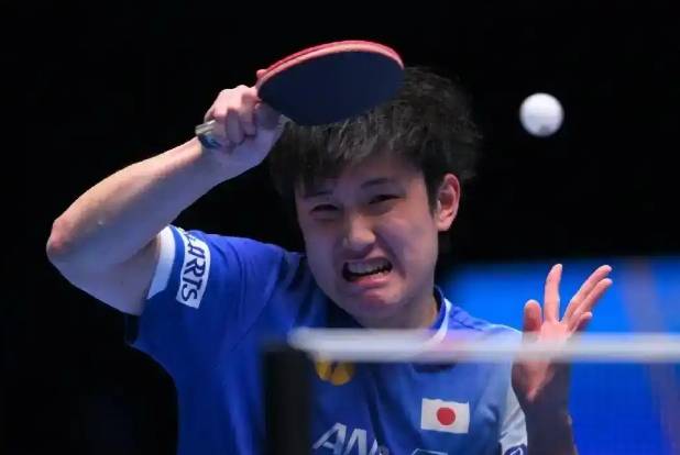 关于瑞典乒乓球队绝杀德国乒乓球队,张本智和爆发神勇的信息 关于瑞典乒乓球队绝杀德国乒乓球队,张本智和爆发神勇的信息