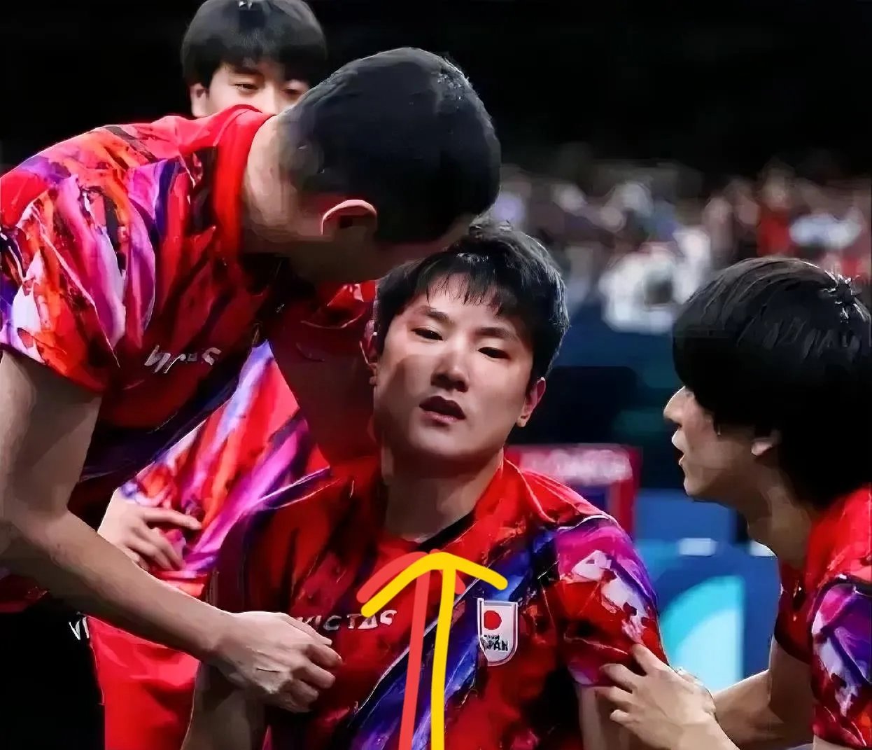 英国乒乓球队血洗韩国乒乓球队,张本智和打破历史纪录的简单介绍 英国乒乓球队血洗韩国乒乓球队,张本智和打破历史纪录的简单介绍