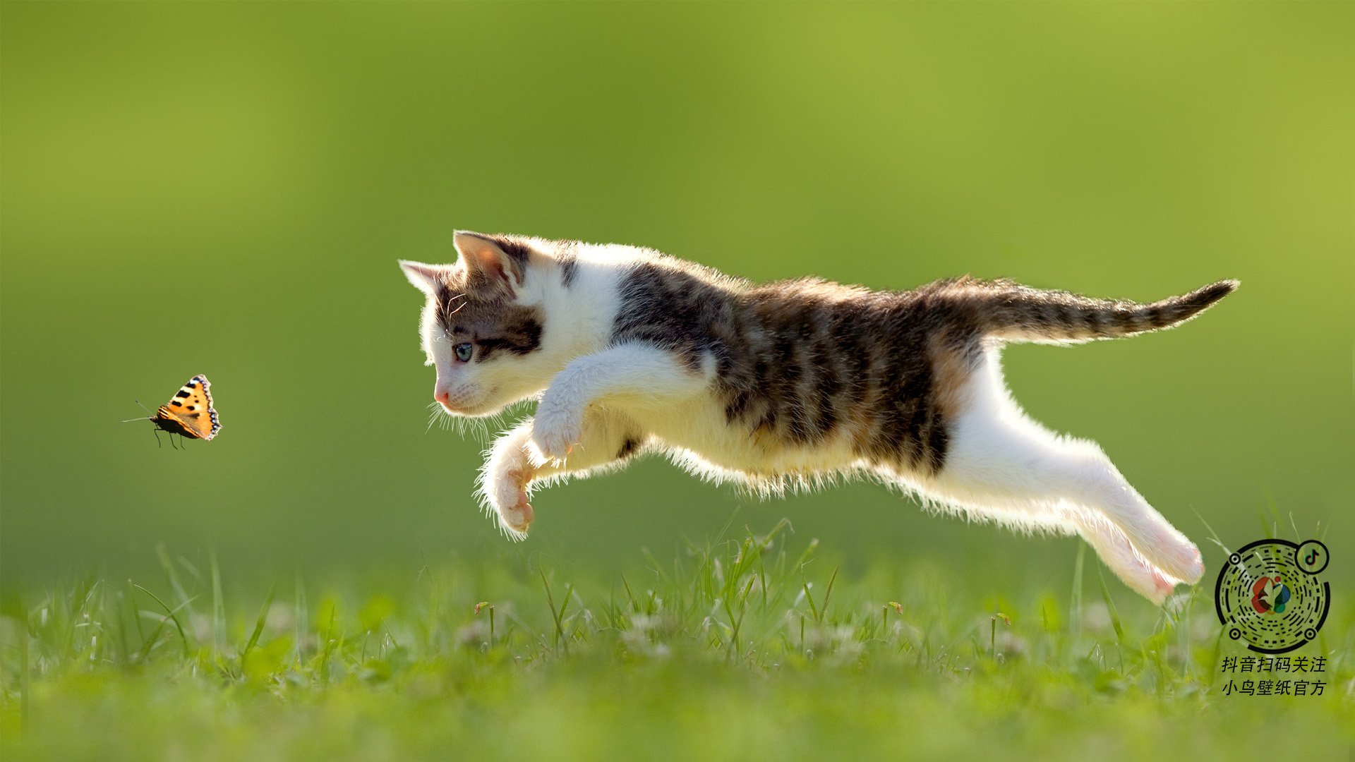 F1街道赛之夜，杰伦格林的表现堪称教科书