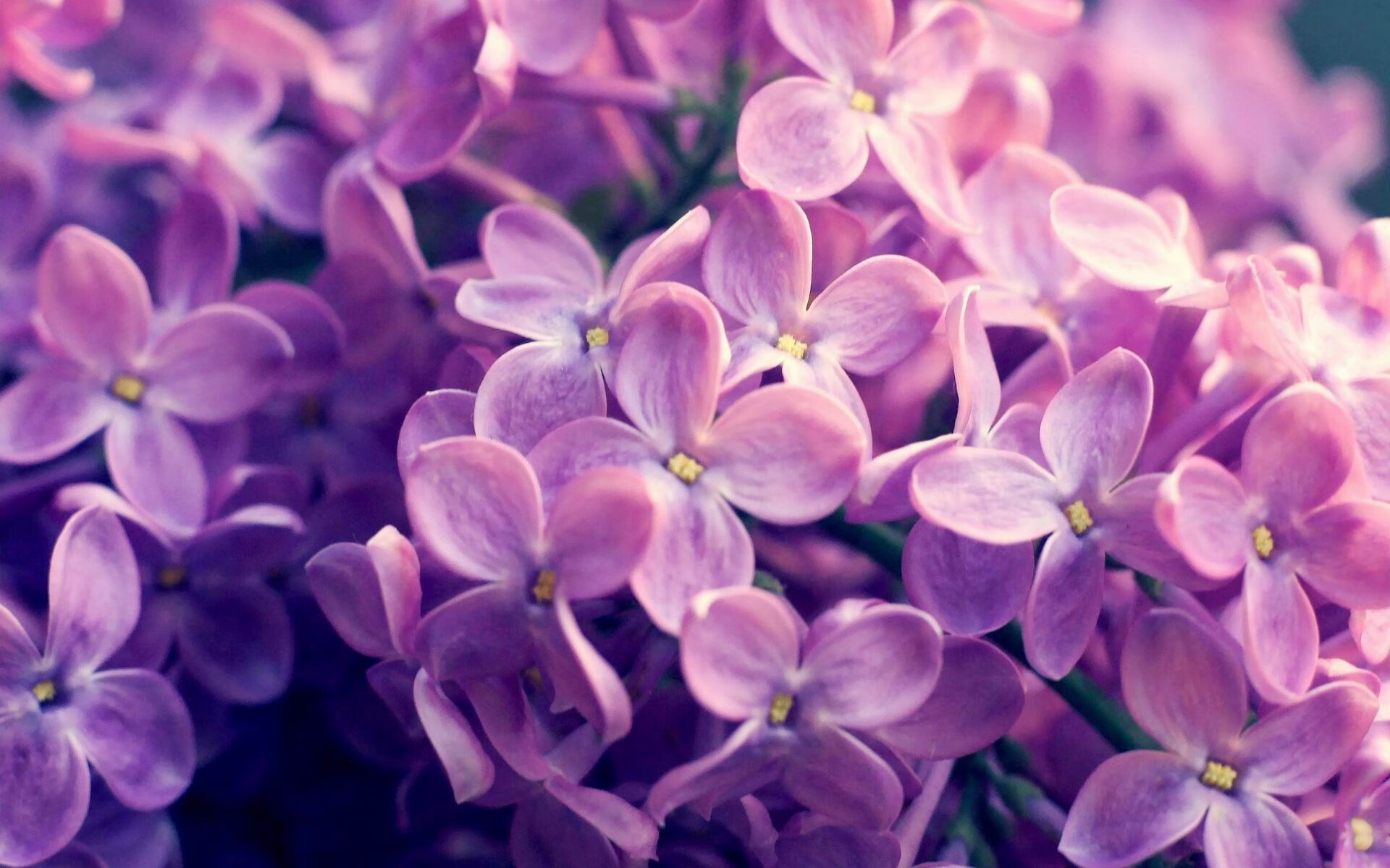 硬仗之王的孤高与铁壁之师的协奏，当库尔图瓦的独舞遇见阿根廷的链锁