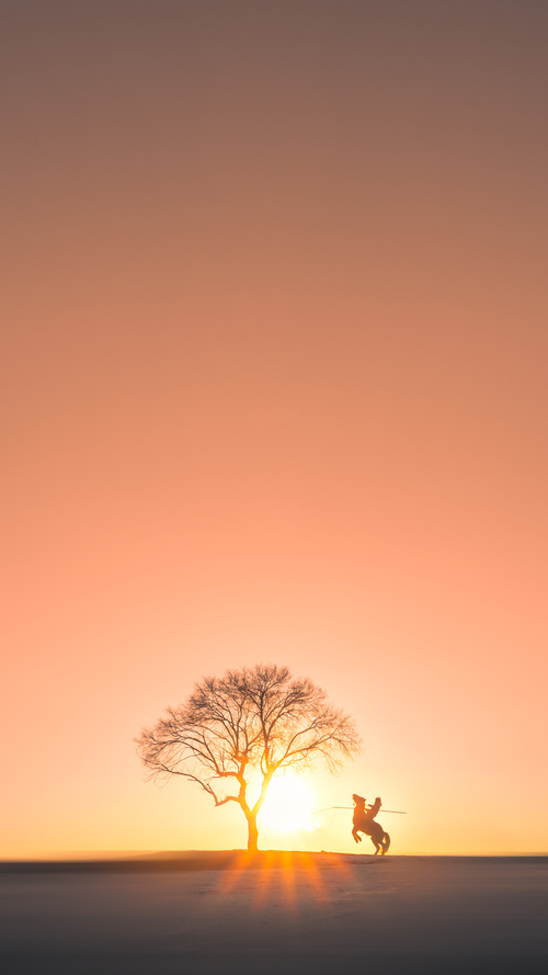 南美猛虎撕碎非洲防线，苏亚雷斯关键回合扼杀安哥拉翻盘希望