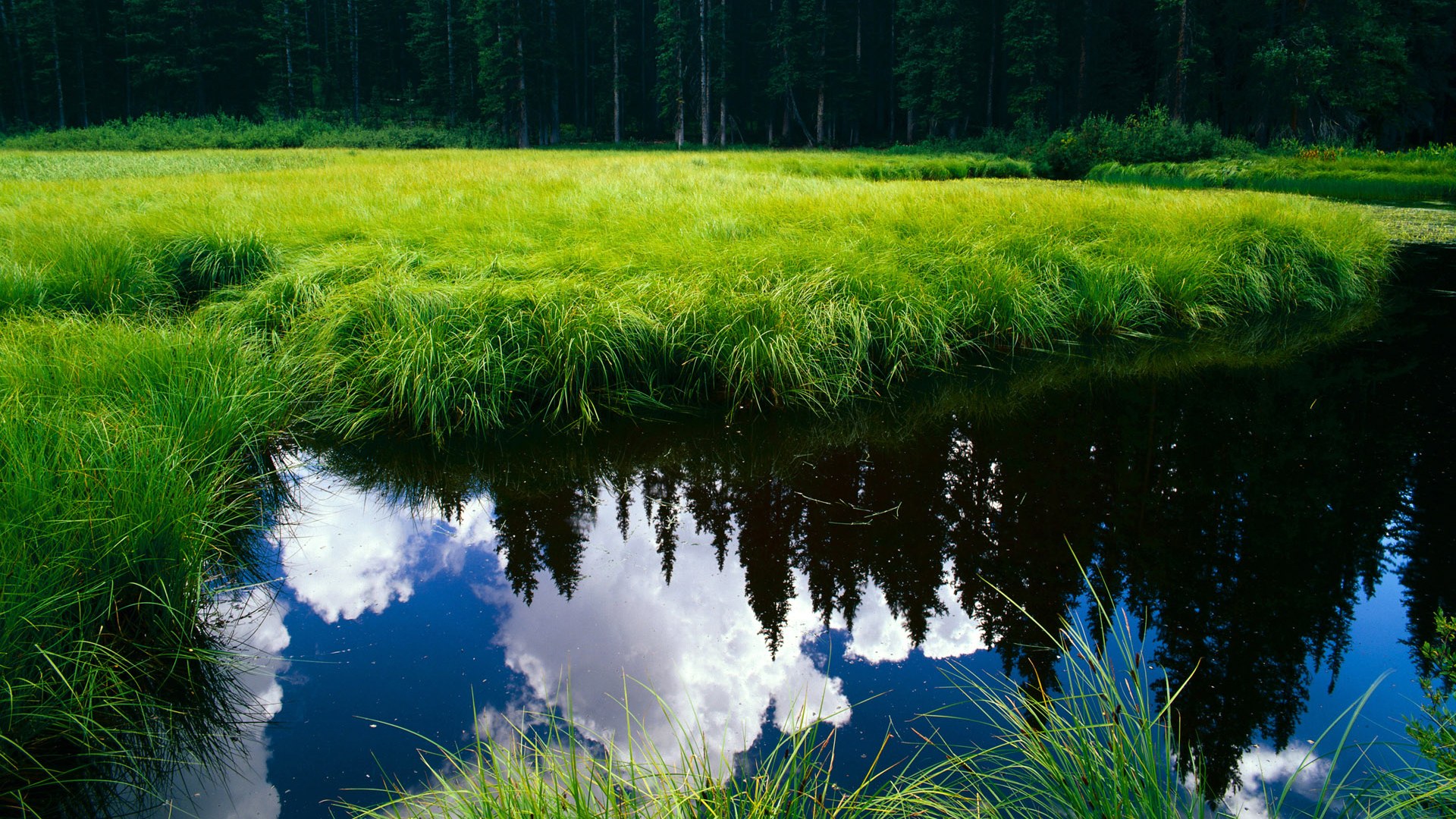 夜幕下的王者，奥纳纳如何在这场F1街道赛中让对手完全无解